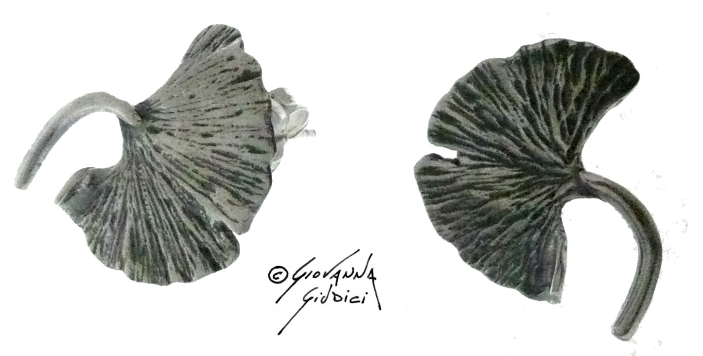 orecchini foglia di ginkgo argento 925